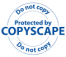 copyescape